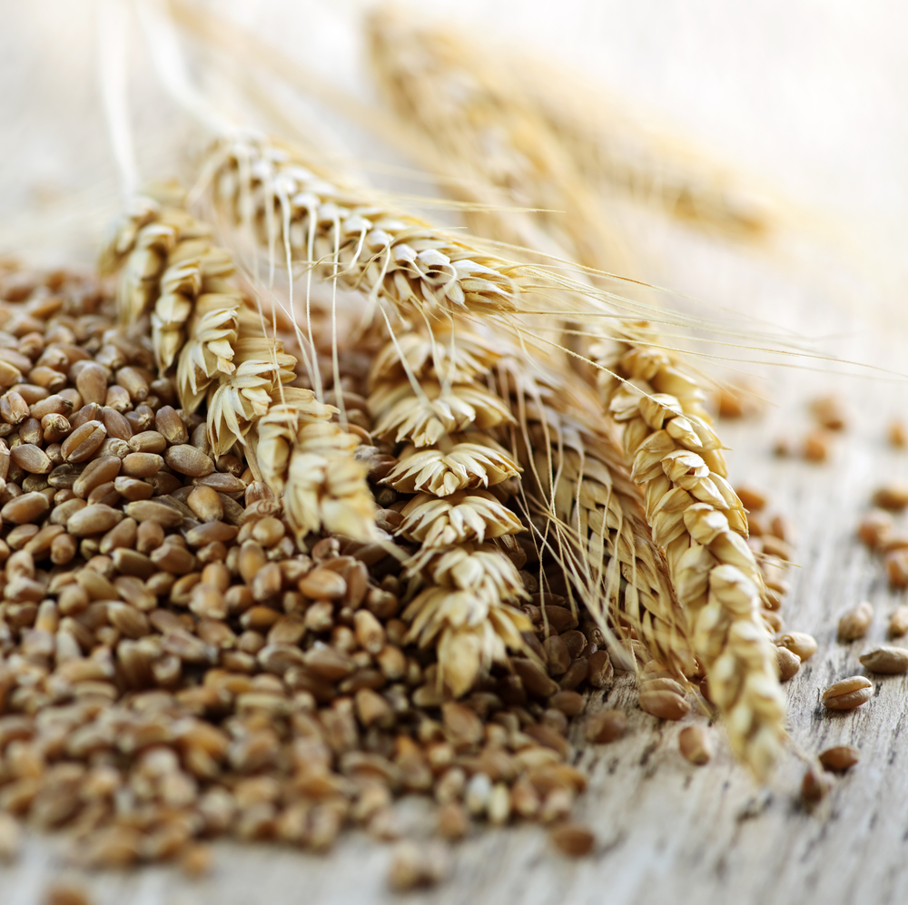 DietitianApproved Menus Celebrate Whole Grains Month Grove Menus